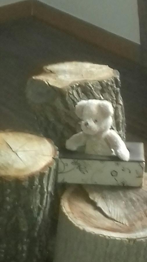 La Demeure De Cupidon Panzió Rians Kültér fotó